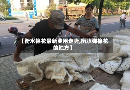 【衡水棉花最新费用走势,衡水弹棉花的地方】-第3张图片