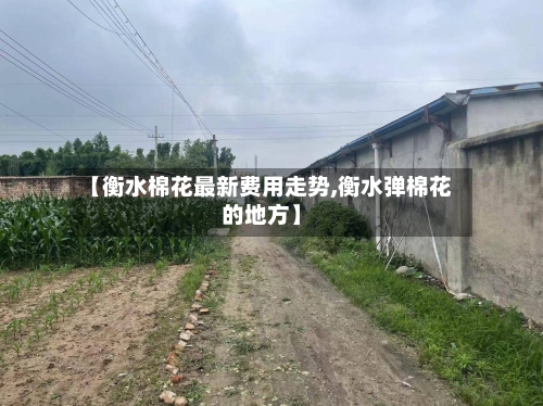 【衡水棉花最新费用走势,衡水弹棉花的地方】