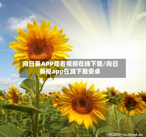 向日葵APP观看视频在线下载/向日葵视app在线下载安卓