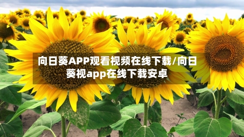 向日葵APP观看视频在线下载/向日葵视app在线下载安卓-第2张图片
