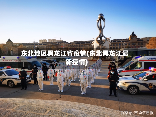 东北地区黑龙江省疫情(东北黑龙江最新疫情)-第2张图片