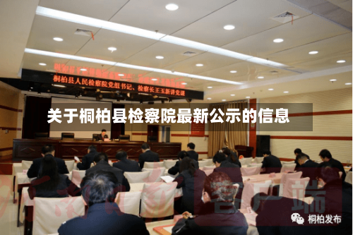 关于桐柏县检察院最新公示的信息-第2张图片