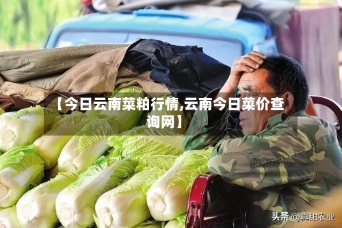 【今日云南菜粕行情,云南今日菜价查询网】-第3张图片