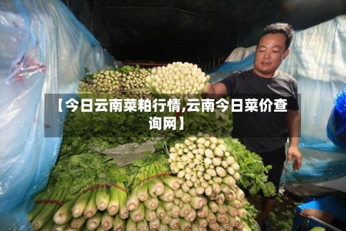 【今日云南菜粕行情,云南今日菜价查询网】-第2张图片