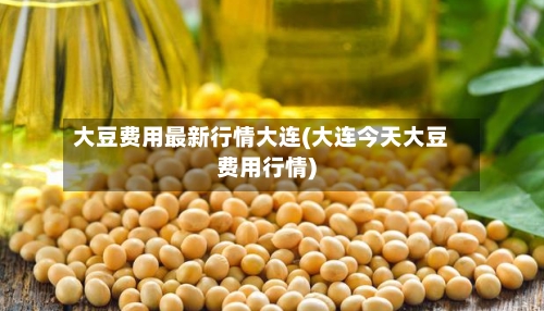 大豆费用最新行情大连(大连今天大豆费用行情)-第2张图片