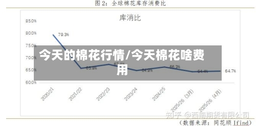 今天的棉花行情/今天棉花啥费用