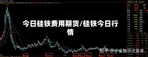 今日硅铁费用期货/硅铁今日行情
