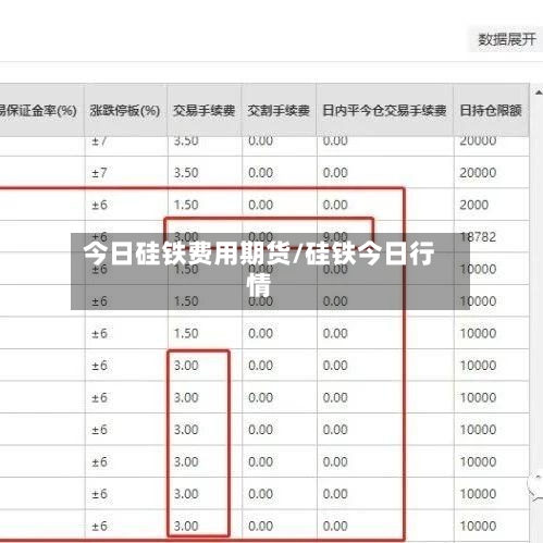 今日硅铁费用期货/硅铁今日行情-第2张图片