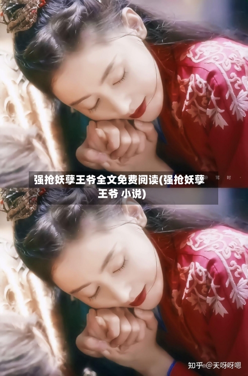 强抢妖孽王爷全文免费阅读(强抢妖孽王爷 小说)-第2张图片