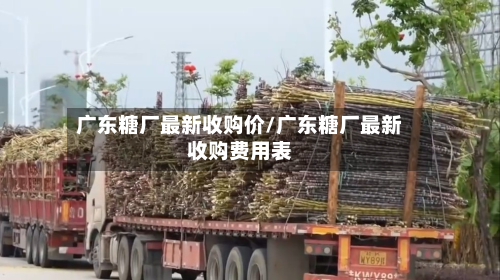 广东糖厂最新收购价/广东糖厂最新收购费用表