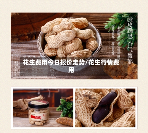 花生费用今日报价走势/花生行情费用-第2张图片
