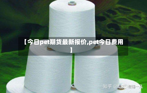 【今日pet期货最新报价,pet今日费用】-第2张图片