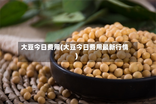 大豆今日费用(大豆今日费用最新行情)-第2张图片