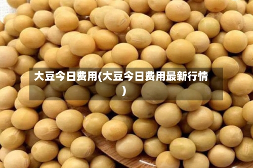 大豆今日费用(大豆今日费用最新行情)-第3张图片