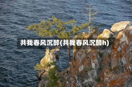 共我春风沉醉(共我春风沉醉h)-第2张图片