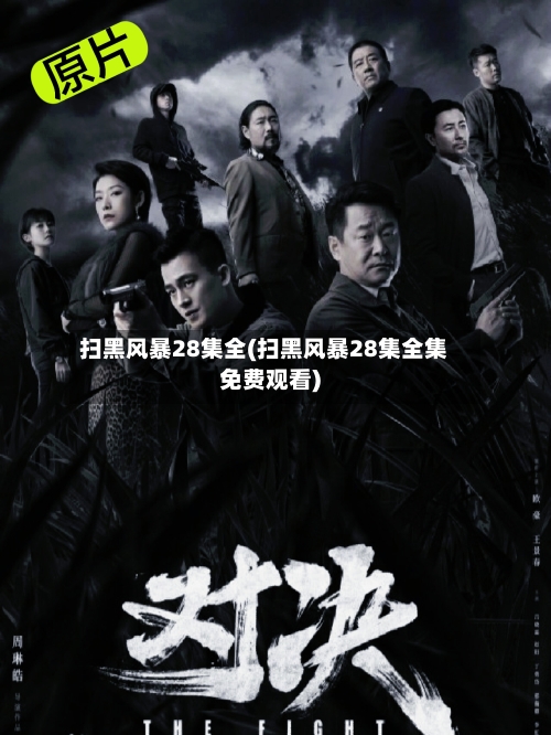 扫黑风暴28集全(扫黑风暴28集全集免费观看)