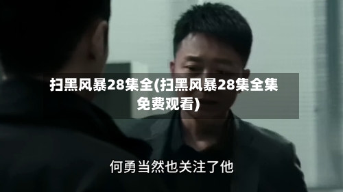 扫黑风暴28集全(扫黑风暴28集全集免费观看)-第2张图片
