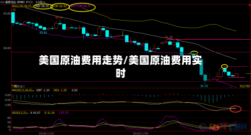 美国原油费用走势/美国原油费用实时-第2张图片
