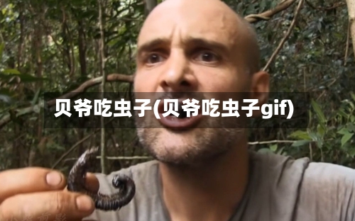 贝爷吃虫子(贝爷吃虫子gif)
