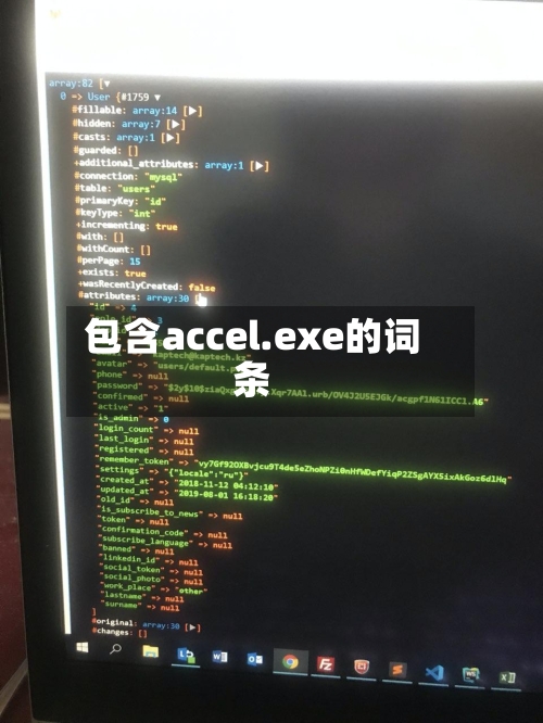 包含accel.exe的词条-第3张图片