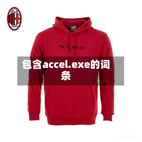 包含accel.exe的词条
