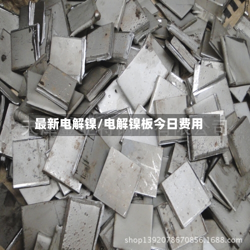 最新电解镍/电解镍板今日费用-第3张图片