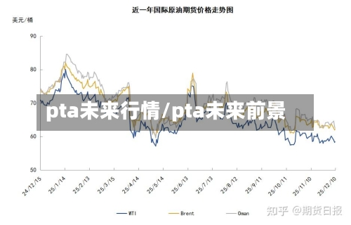pta未来行情/pta未来前景