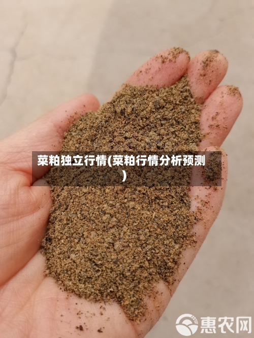 菜粕独立行情(菜粕行情分析预测)