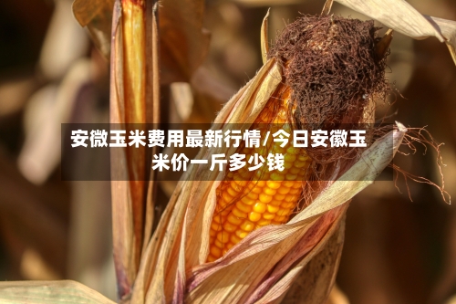 安微玉米费用最新行情/今日安徽玉米价一斤多少钱-第3张图片