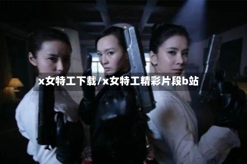 x女特工下载/x女特工精彩片段b站-第3张图片