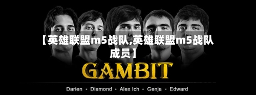 【英雄联盟m5战队,英雄联盟m5战队成员】