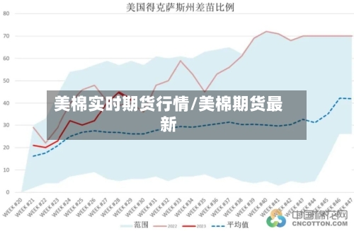 美棉实时期货行情/美棉期货最新