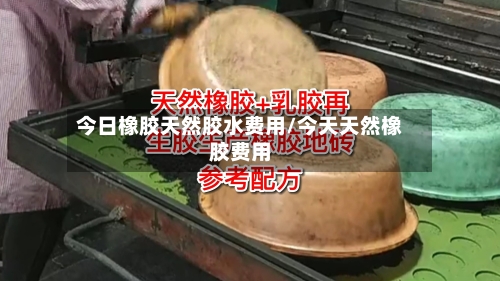 今日橡胶天然胶水费用/今天天然橡胶费用
