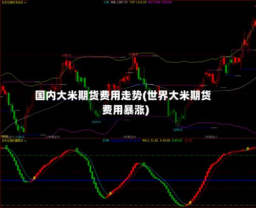 国内大米期货费用走势(世界大米期货费用暴涨)-第3张图片