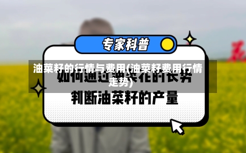 油菜籽的行情与费用(油菜籽费用行情走势)-第3张图片