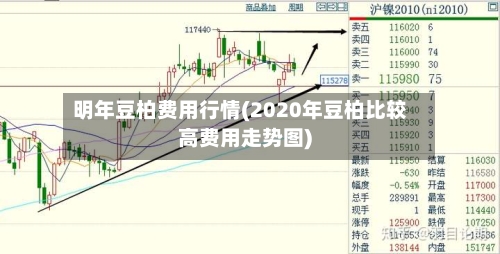 明年豆柏费用行情(2020年豆柏比较高费用走势图)-第2张图片