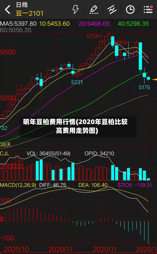 明年豆柏费用行情(2020年豆柏比较高费用走势图)-第3张图片
