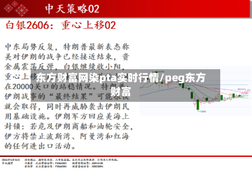 东方财富网染pta实时行情/peg东方财富-第2张图片