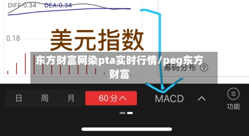 东方财富网染pta实时行情/peg东方财富