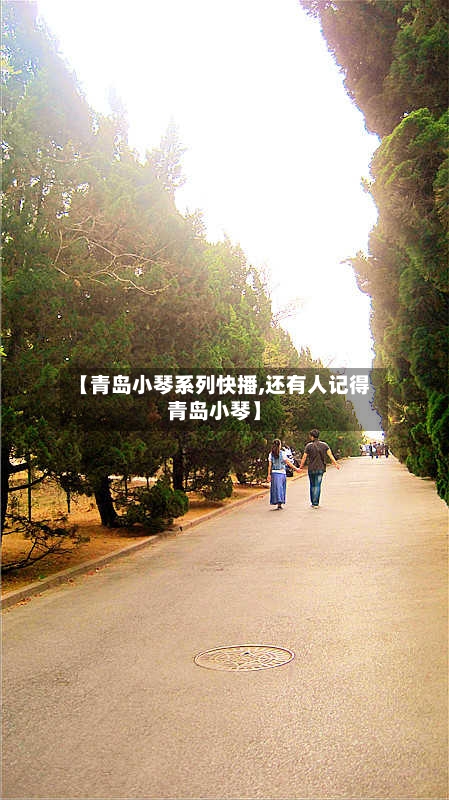 【青岛小琴系列快播,还有人记得青岛小琴】-第2张图片