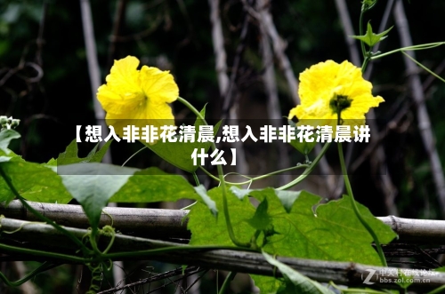 【想入非非花清晨,想入非非花清晨讲什么】-第2张图片