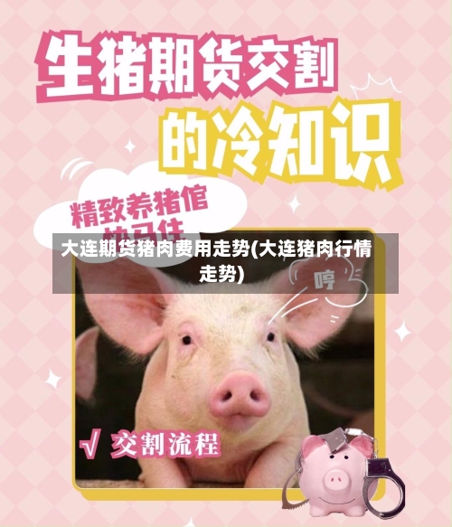 大连期货猪肉费用走势(大连猪肉行情走势)