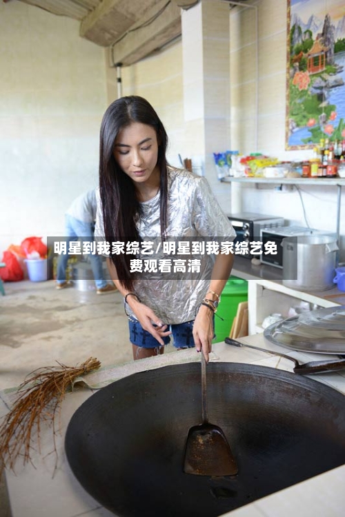 明星到我家综艺/明星到我家综艺免费观看高清