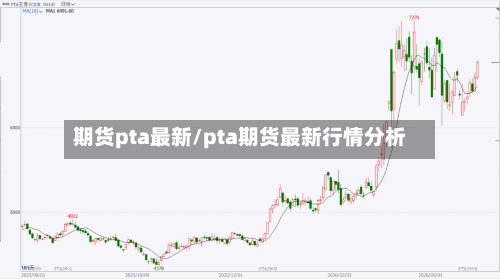 期货pta最新/pta期货最新行情分析-第3张图片