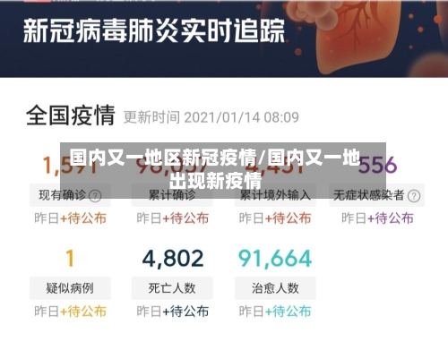 国内又一地区新冠疫情/国内又一地出现新疫情-第3张图片
