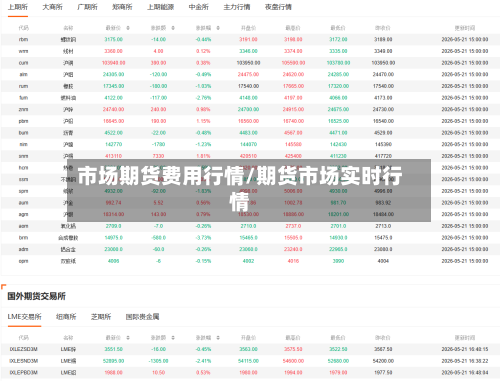 市场期货费用行情/期货市场实时行情
