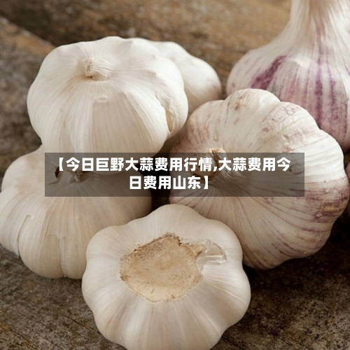 【今日巨野大蒜费用行情,大蒜费用今日费用山东】-第2张图片