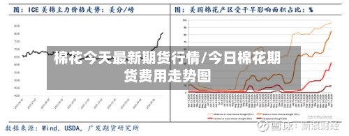 棉花今天最新期货行情/今日棉花期货费用走势图-第2张图片