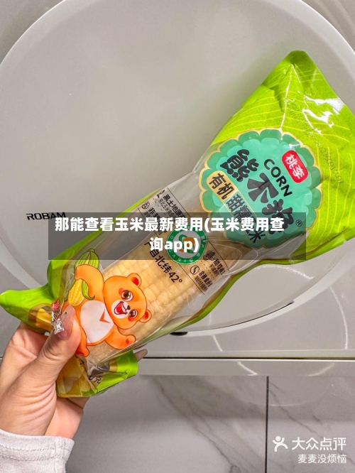 那能查看玉米最新费用(玉米费用查询app)