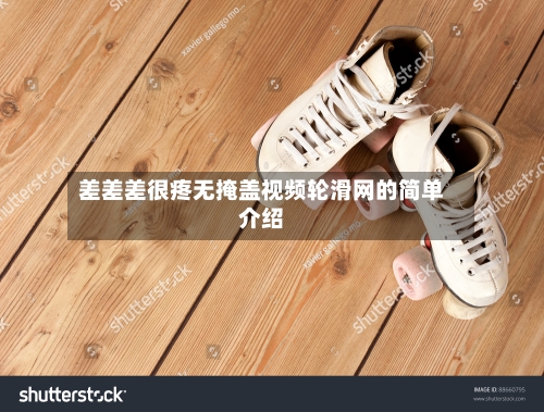 差差差很疼无掩盖视频轮滑网的简单介绍-第2张图片